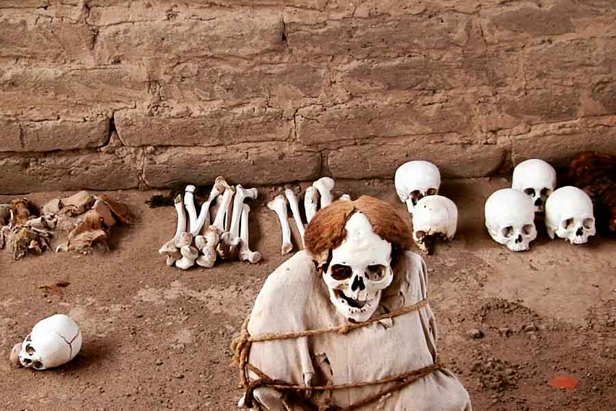 Tour Lineas de Nazca y el Cementerio de Chauchilla (desde Lima)