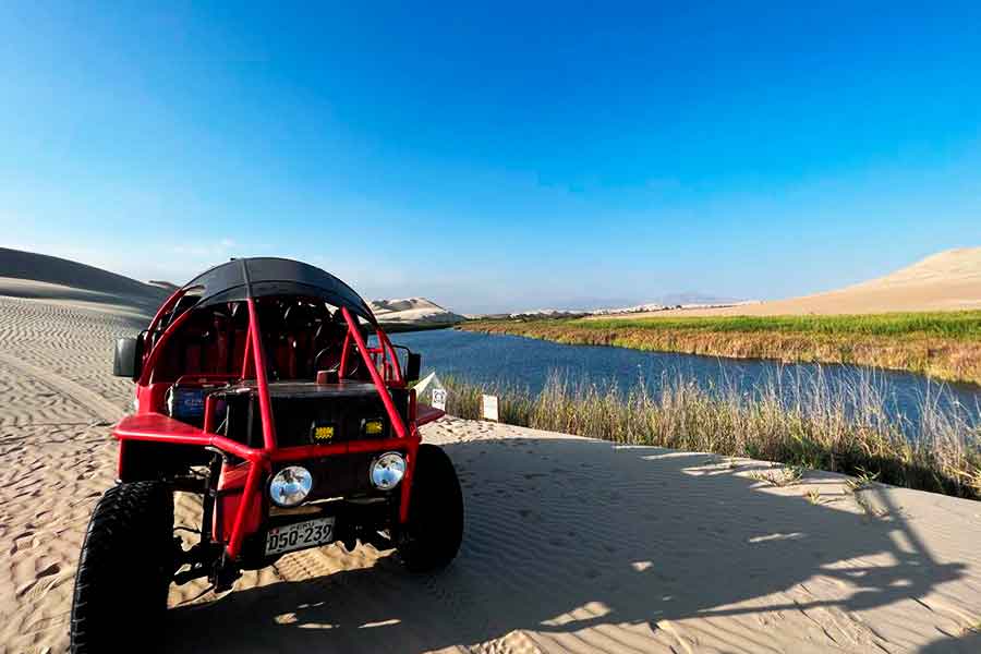 tour paracas y huacachina