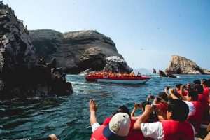 conoce Islas Ballestas galapagos