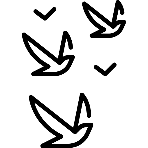 Avistamiento de Fauna