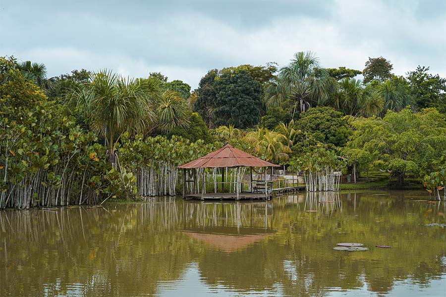 Iquitos consejos recomendaciones
