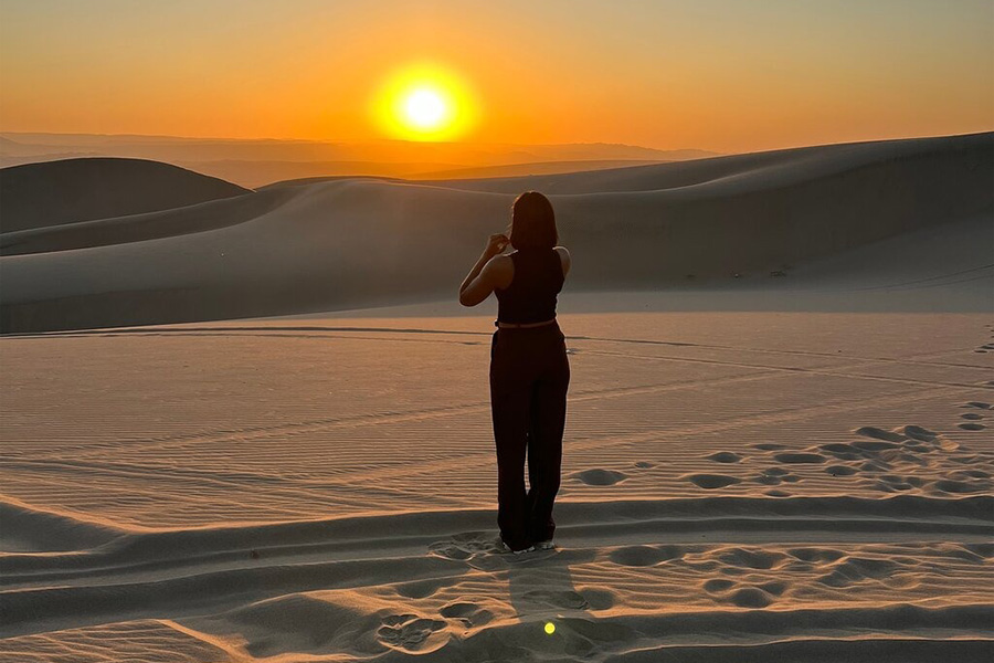 Full Day Paracas Ica Privado